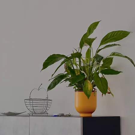 K House Apartment Bari